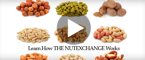 Nut Broker Base Image