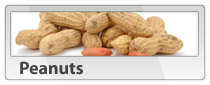 Various Nut Types