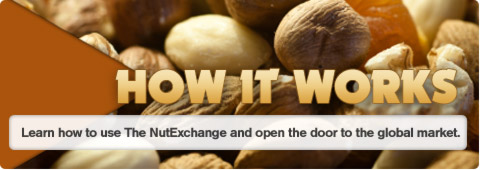 Nut Broker Base Image